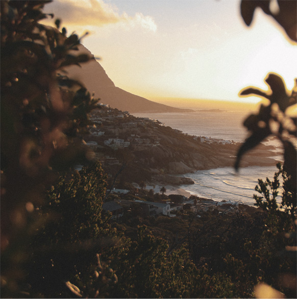 About us